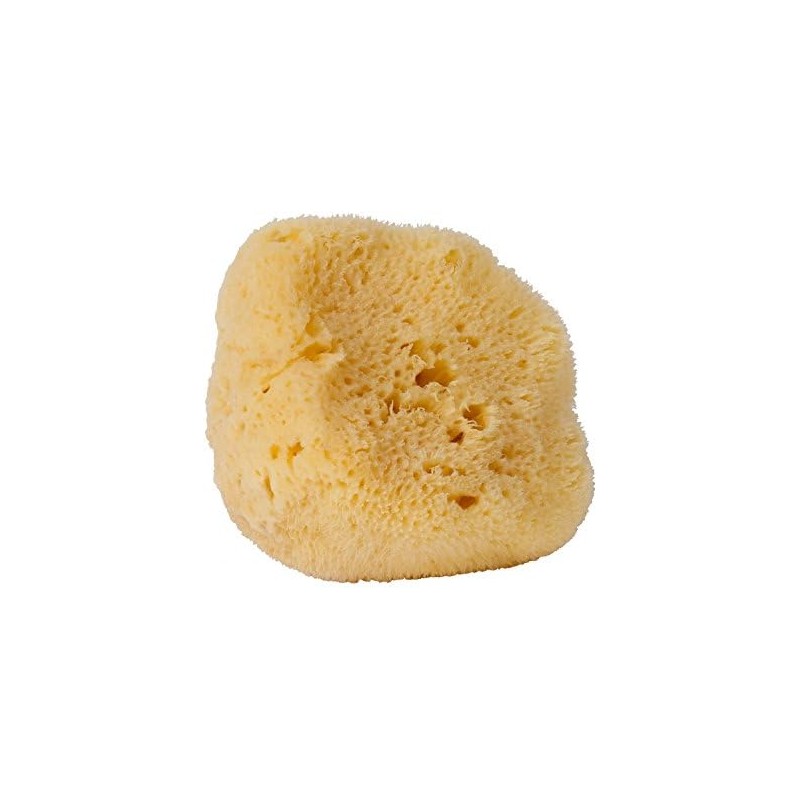 Esponja natural del mar – Croll & Denecke