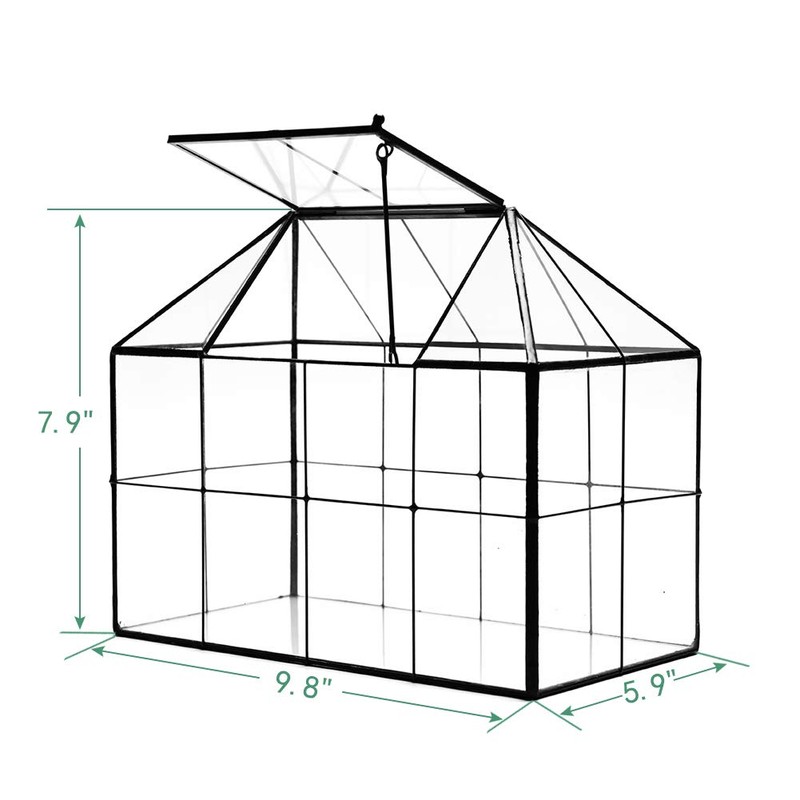 Large Glass Terrarium House Planter – Succulent Plant Glass Greenhouse