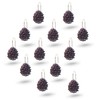 Interior Trends 12 Piece Set of Decorative Shower Curtain Hooks