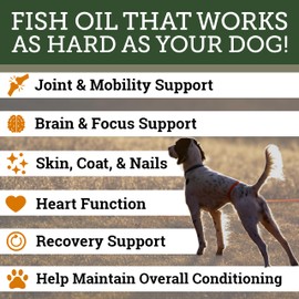 DogBone Omega 3 Fish Oil for Dogs - EPA + DHA Supplement for Hip & Joint, Heart, Skin Support - Omega 6 Fatty Acids - Help Hunting Dog Recovery – Improve Puppy, Senior Canine Health – 32oz Pump Bottle