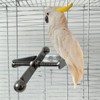 Niwugady Parrot Chew Toy Stainless Steel Hanging Perch Interactive Toy