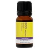 ECO. Modern Essentials Lemon Pure Essential Oil, 10ml