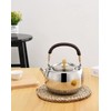 IwaiLoft IWL1078 Kettle, Stainless Steel, Water Kettle, Tea Pot, Gas