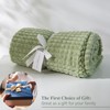 Simple&Opulence Microfiber Throw Blanket Grid Design,130cm x 170cm,Super Soft Fluffy