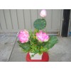 Plastic Artificial Lotus Flower with White Square Procelain Pot