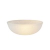 Aspen Creative 23120-11 Frosted Transitional Replacement Glass Shade for Medium