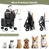 Double Pet Stroller for Dogs and Cats: Dog Stroller Foldable