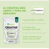 Suplemento Wellthy Creatina Creapure De 330g