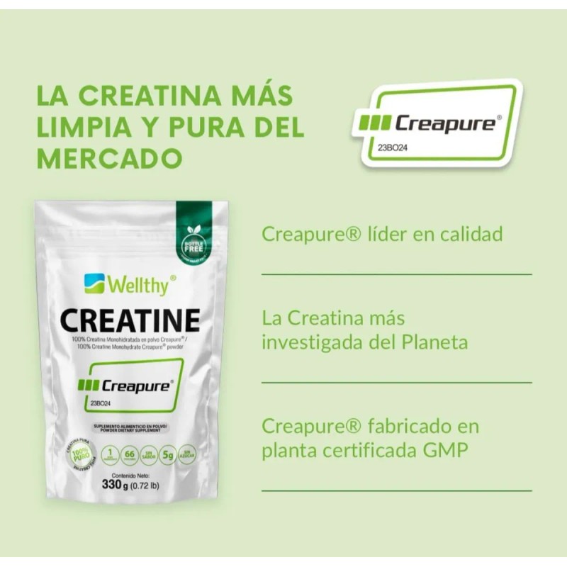 Suplemento Wellthy Creatina Creapure De 330g