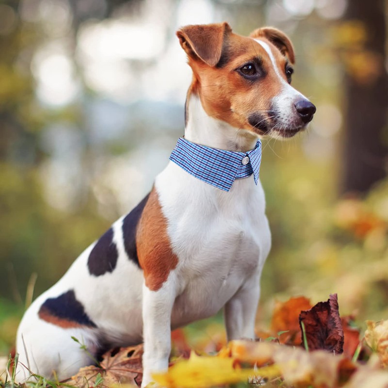 Faleela Cotton Plaid Shirt Style Dog Collar Soft Cute,Boy Dog