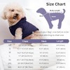 Vecomfy Sudadera con capucha para perro extra cálida con forro