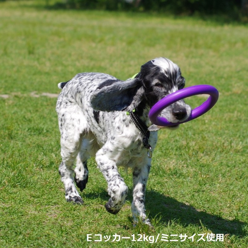 PULLER Midi Puller for Small and Medium Dogs