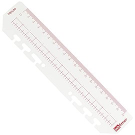 BSB 02-0587 Day Indicator Ruler A5 6 Hole Punched for Manager Organiser