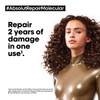 LOreal Professionnel L'Oreal Professionnel Serie Expert Absolut Repair Molecular Mask