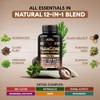 Wormwood, Black Walnut, Clove & Astragalus - ParaGone for Cleanse,