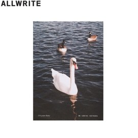 ALLWRITE 1/4 Year Diary - River02 1ea, PVC Cover:Yes