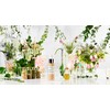 Physicians Formula Organic Wear Silk Foundation Elixir Fair