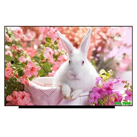 17.3" FHD (1920X1080) 30 pins Connector LCD Screen Replacement LED Display Panel 0MWY7K MWY7K B173HAN01.3 (Non-Touch)