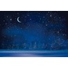 Renaiss 10x8ft Starry Night Backdrop Sky Moon Snowfall Photography Backdrops