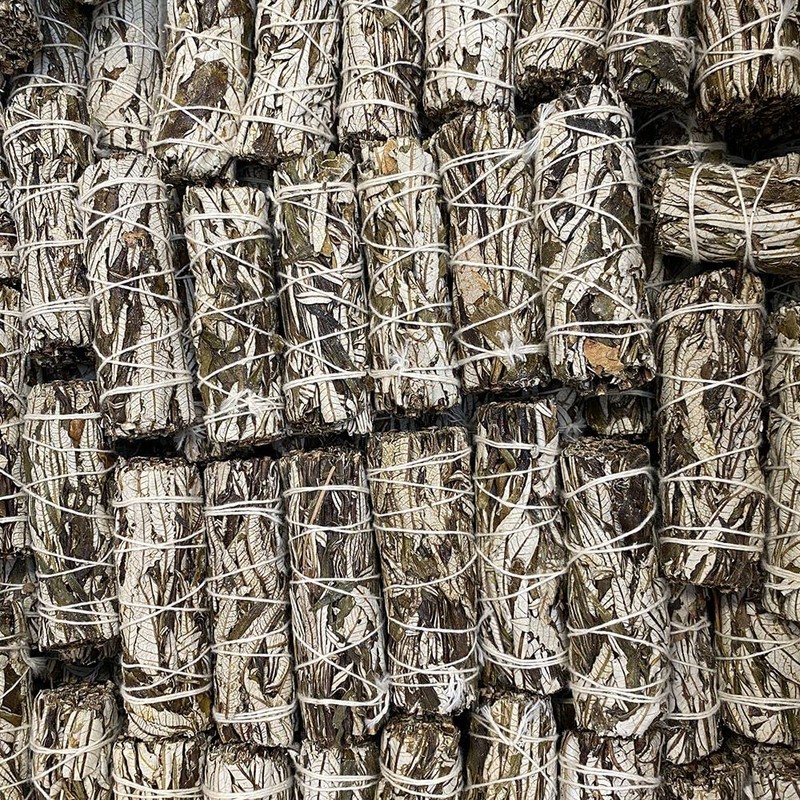 White Sage and Yerba Santa 4"