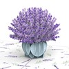 papercrush® Pop-Up Card Lavender – 3D Flower Card for Wife,