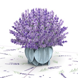 papercrush® Pop-Up Card Lavender – 3D Flower Card for Wife, Girlfriend & Mother (Birthday Card, Get Soon, Get Well Soon, Thank You) – Pop-up Greeting Card with Flowers for a Round Birthday