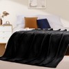BEAUTEX Fleece Blanket Queen Size Super Soft Flannel Throw Blanket