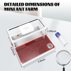 PioneerAnts PioneerAnts Ant Farms with Yellow Sand and Tool Kit-Transparent Ant Farm for Adults 3D Printed Ant Nest Workshop Castle Ant Garden for Live Ants and Queen (Model-B)