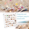 FHBHJNATC Shell collection box, shell box, seashell display box, suitable