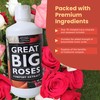 Great Big Roses – Soil and Rose Fertilizer Booster to