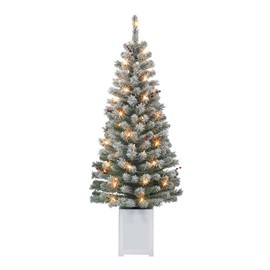Set of 2 5 ft Pre-Lit Potted Flocked Western Spruce Trees, 169 Tips, 70 UL Clear Incandescent Lights