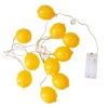 Elegani 10 LED Lemon String Lights – Warm White Indoor