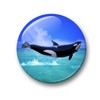 03 Orca Killer Whale Sea Creatures Large Fridge Magnets Set