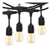 LumeGen 48ft Heavy-Duty S14 String Light - 24 E26 Sockets