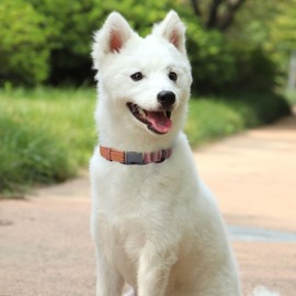 PET ARTIST Dog Collars for Large Dogs, Heavy Duty Cotton Dog Collar with Quick Release Metal Buckle, Soft & Durable Brown Leather Dog Collar, Adjustable Large Dog Collar for Male Dogs,L(Fit 15-23")