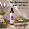 Young Living Lavender Volume Shampoo Essential Oils - Cleanses and