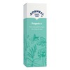 Dorwest Herbs Fragaria 3C Homoeopathic Liquid Remedy for Dogs &