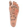 2pcs 19cm / 7.5in Feet Acupoint Model Acupuncture Teaching Aids