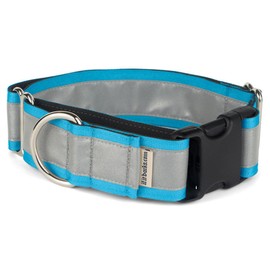 If It Barks - 1.5" Reflective Martingale Collar with Quick Snap Buckle for Dogs - Adjustable - Made in USA - Strong, Durable, and Comfy - Ideal for Training - Fits Most Breeds - Medium, Turquoise