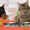 Dr. Elsey's Cleanprotein Salmon Formula Dry Cat Food, 6.6 Lb