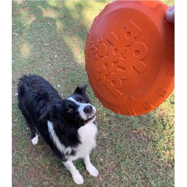 SodaPup Bottle Top – Durable Flyer Retrieving Toy Made in USA from Non-Toxic, Pet-Safe, Food Safe Natural Rubber for Bonding, Physical Exercise, Building Confidence, Teaching Self-Control, & More