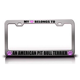 My Heart Belongs to an American Pit Bull Terrier Pet Cats Dogs Metal License Plate Frame Style 3 Chrome