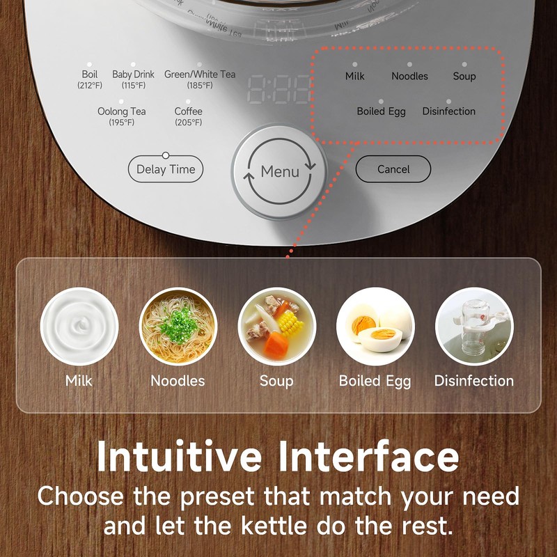 ICOOKPOT Hot Electric Kettle with Tea Infuser and Temperature Control,