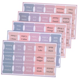 VILLFUL 5sheets Bible Tabs for Study Bible Coated Index Labels Beautiful Design for Men Women Easy Navigation Categorization Bible Study Supplies