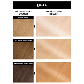 GARNIER OLIA Permanent bleach - B+++ Max Bleach (Ammonia Free, Oil based)