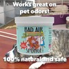 Bad Air Sponge Odor Neutralizer, Absorbs and Eliminates Bad Smells,