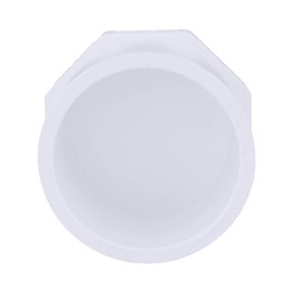 CHARLOTTE PIPE 2 SCH 40 Plug SPG Pressure (1 Unit Piece)