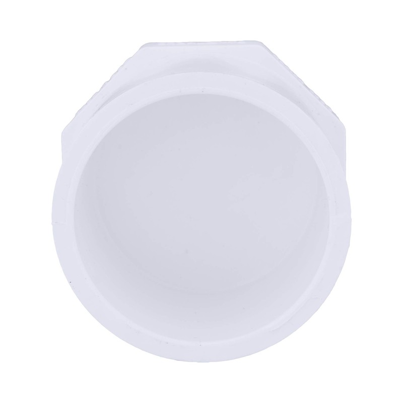 CHARLOTTE PIPE 2 SCH 40 Plug SPG Pressure (1 Unit