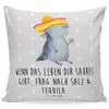Mr. & Mrs. Panda Axolotl Tequila Sofa Cushion - Gift,