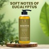 AVD Organics Eucalyptus Mint Massage Oil 236ml – Refreshing &
